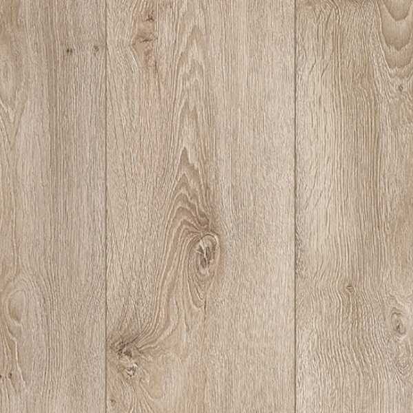 Eiche Platinblond