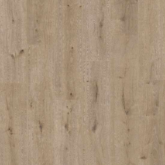 Colored Oak